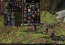 .Dungeon Siege.