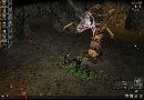 .Dungeon Siege.