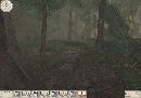.Hidden and Dangerous 2.