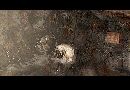 .Silent Hill 4: The Room.