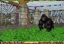 .Zoo Empire.