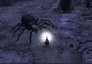 .LOTR: Battle for middle-Earth.